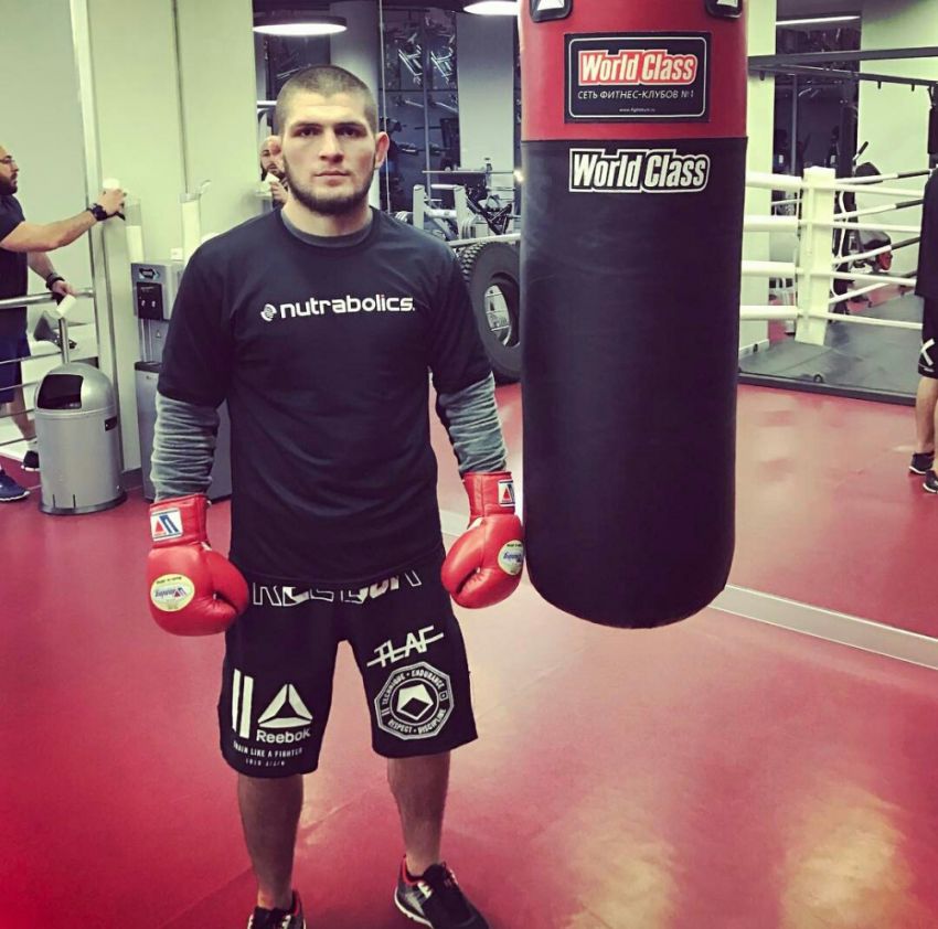 Хабиб Нурмагомедов начал подготовку к бою на UFC 209