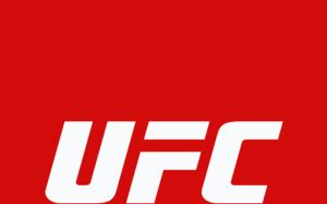 UFC может приехать в Украину