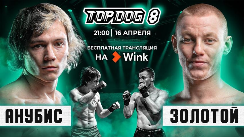 Видеосервис Wink впервые покажет в прямом эфире кулачные бои Top Dog FC