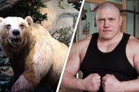 Максим Новоселов устроил борцовскую схватку с медведем