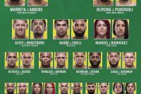Результаты турнира UFC Fight Night 137