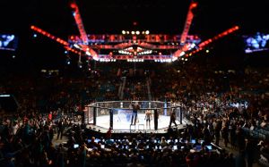 Турнир UFC в России состоится в этом году, но Нурмагомедов не примет в нем участие 