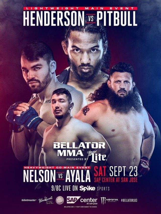 Результаты турнира Bellator 183