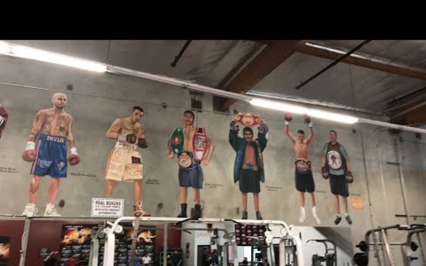 Lomachenko media workout! 