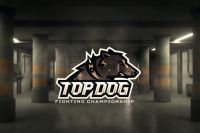 Прямая трансляция Top Dog FC 7: Тимур "Золотой" Мусаев – Искандер "Шеф-повар" Зияев