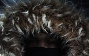 Фото: Бермейн Стиверн прибыл в Россию