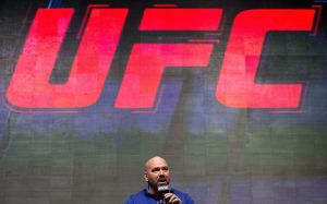 UFC: Семь головных болей на год грядущий