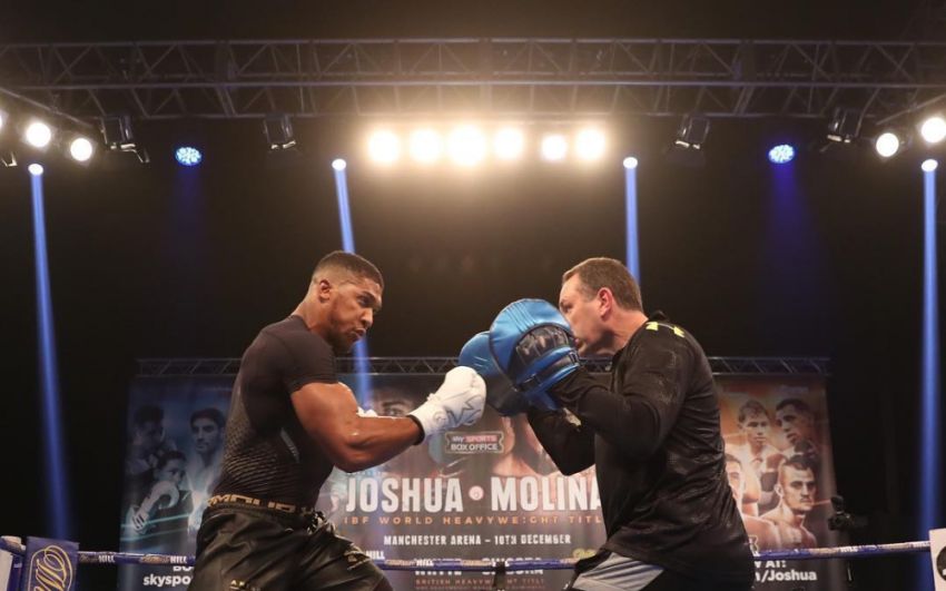 Видео: открытая тренировка Энтони Джошуа, Эрика Молины, Диллиана Уайта, Луиса Ортиса