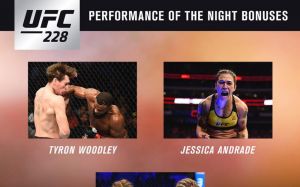 Бонусы участникам турнира UFC 228