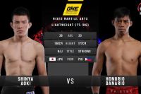 Видео боя Шинья Аоки - Онорио Банарио ONE Championship: Century - Part 2