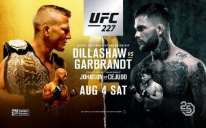 Разбор главных боев UFC 227