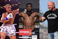 Фрэнсис Нганну: "Я на 100% согласен с Джейком Полом, что в UFC недоплачивают бойцам"