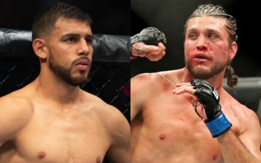 UFC работает над организацией боя между Брайаном Ортегой и Яиром Родригесом