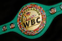 В WBC хотели бы увидеть бои Поветкина с Уайлдером и Фьюри в 2016 году