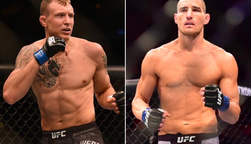 Где смотреть UFC Fight Night 200: Джек Херманссон – Шон Стриклэнд