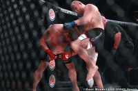 Реакция в твиттере на яркий нокаут от Сергея Харитонова на Bellator 207