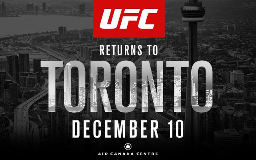 Расширенное превью к UFC 206