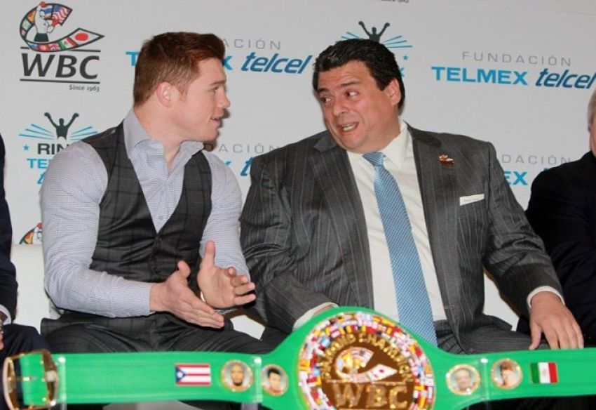 WBC продолжает поддерживать Сауля Альвареса в допинговом деле 