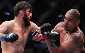 Анкалаев – Перейра: Главные новости UFC, предыстория и прогноз реванша