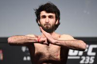 Забит Магомедшарипов объяснил, почему отказался от боя на турнире UFC в Бостоне