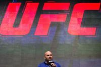 UFC: Семь головных болей на год грядущий