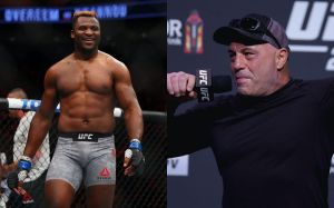 Джо Роган прокомментировал уход Фрэнсиса Нганну в PFL: "Это меня бесит"