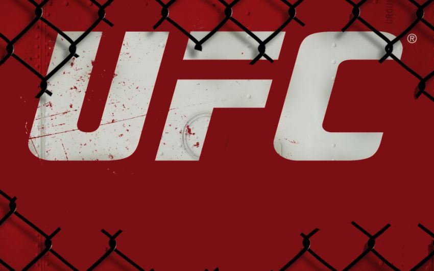 Расписание UFC 2019. Ближайшие турниры