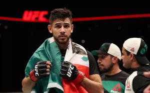 Слух: Бой Забита Магомедшарипова и Яира Родригеса добавлен в кард UFC 227