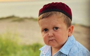 Камил Гаджиев рассказал, в чем заключается феномен популярности Хасбика