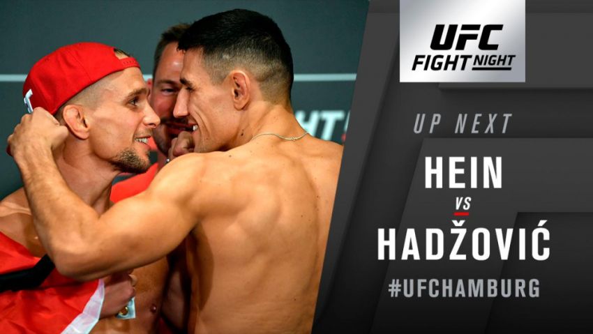 Видео боя Ник Хейн - Дамир Хадзович UFC Fight Night 134