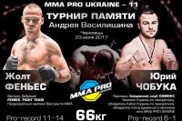 Прямая трансляция MMA Pro Ukraine 11