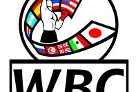 WBC: Боксеры обязаны вступить в анти-допинговую программу