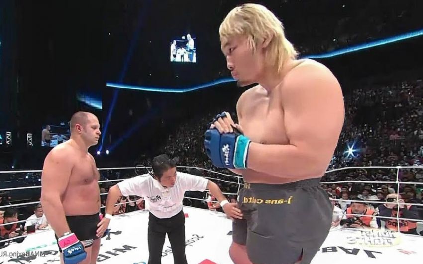 Сколько чемпионов UFC побил Фёдор?