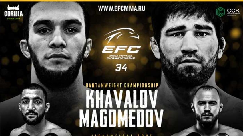 Видео боя Ренат Хавалов – Шарапудин Магомедов EFC 34