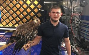 Тренер Хабиба Нурмагомедова: UFC, дайте любого бойца из первой десятки