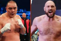 Чжан Чжилей обратился к Фьюри: "Я буду готов к тебе в июле"