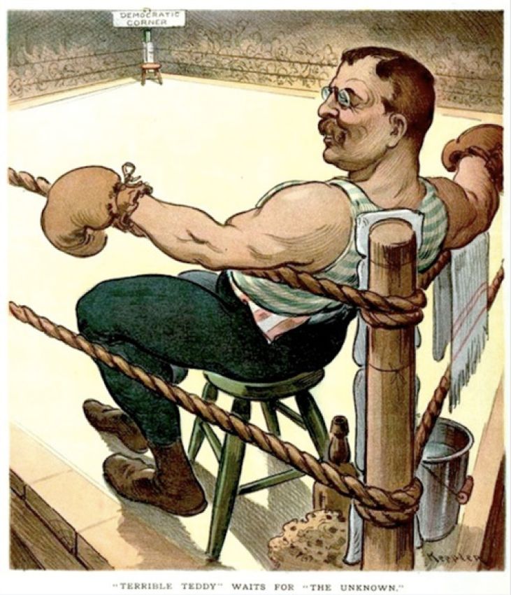 Напряжённая жизнь: Теодор Рузвельт и смешанные боевые искусства