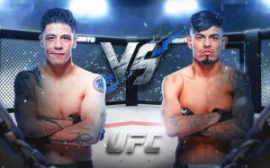 UFC Fight Night 237. Смотреть онлайн прямой эфир