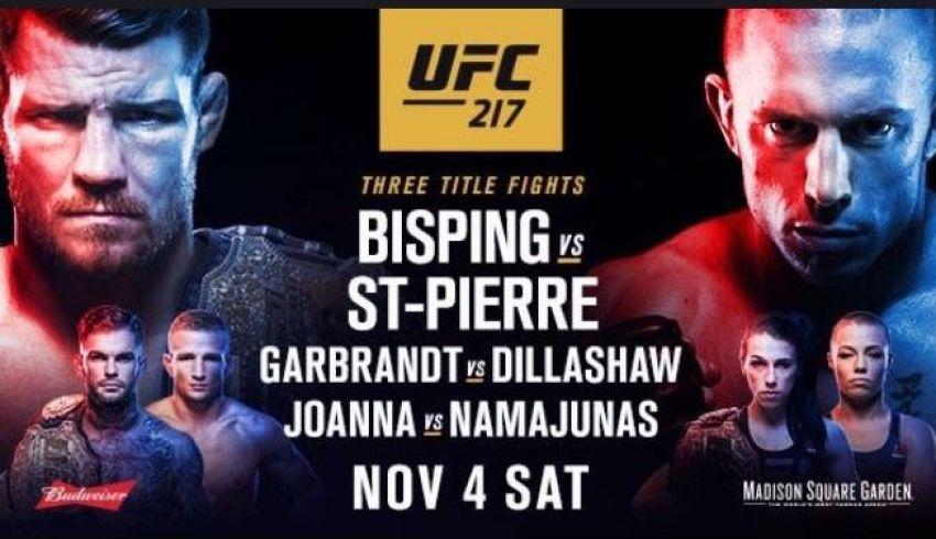 Прямая трансляция UFC 217