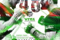 Прямая трансляция WFCA 48