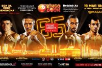 Файткард турнира FIGHT NIGHTS GLOBAL 65