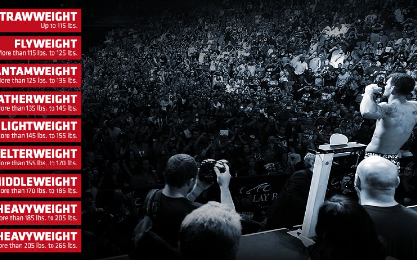 В UFC могут появиться новые дивизионы