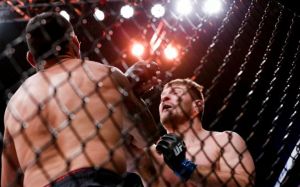 Стипе Миочич - Фабрисио Вердум - нокаут 2016 года по версии MMA Fighting