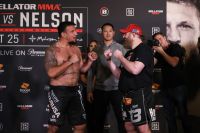 Видео боя Фрэнк Мир - Рой Нельсон Bellator 231