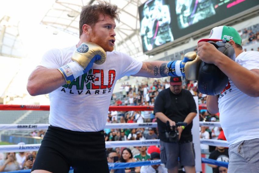 Команда Головкина против использования Альваресом перчаток марки "No Boxing No Life"