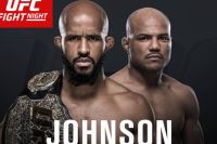 Видео боя Деметриус Джонсон - Вилсон Рейс UFC on Fox 24