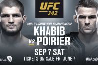 Прогноз на бой Хабиб Нурмагомедов - Дастин Порье на UFC 242