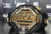 Рейтинг бойцов UFC за октябрь 2019 года