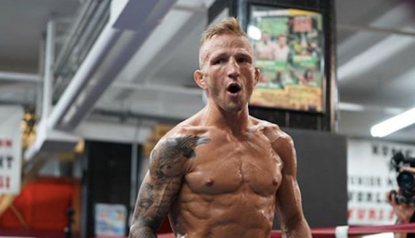 TJ Dillashaw in the next fight may receive the status of an official contender