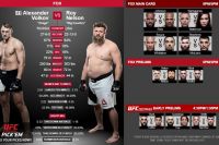 Александр Волков - Рой Нельсон на UFC on Fox 24